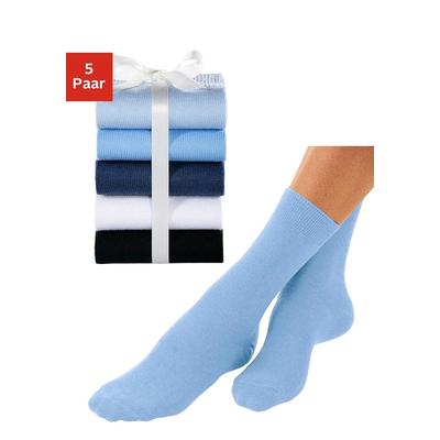 Basicsocken GO IN "Damen Socken Strümpfe ohne Logo feine Baumwolle", Herren, Gr. 35-38, schwarz (blau, marine, hellblau, sanftes weiß, schwarz), Baumwolle, Baumwollmischung, Elasthan, Polyamid, Polyester, unifarben, elastisch, Socken, unifarben ganz...