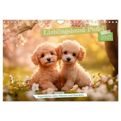 Lieblingshund Pudel (Wandkalender 2027 DIN A4 quer), CALVENDO Monatskalender