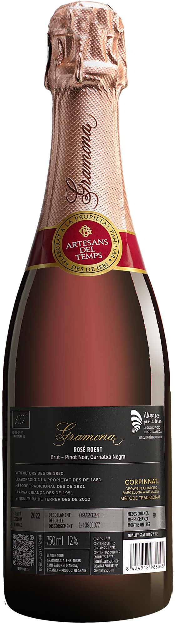 Gramona Rosé Roent Brut 2022 12% Vol. Trocken aus Spanien
