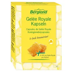 GELEE ROYALE Kapseln 40 St