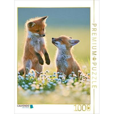 CALVENDO Puzzle Kleine Gesellen, großes Glück | 1000 Teile Lege-Größe 64 × 48 cm Foto-Puzzle für glückliche Stunden, von , Calvendo Puzzle