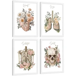 POSTER Set aus 4 Anatomie Mensch Florale Drucke und Wandbilder mit Herz Lungen Skelett und Schädel Stil Wanddekoration Größe Weißer Rahmen A4