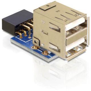 Delock 9pol USB 2.0 Adapter für 2x USB 2.0 Buchse (41825.)