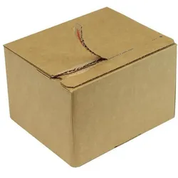 Transpak, Versandkarton + Versandbox, Automatikkarton 1-wellig Automatikboden Masse 214x153x112mm SK A5 Qualtität 1.2E braun braun (40 Stk.)