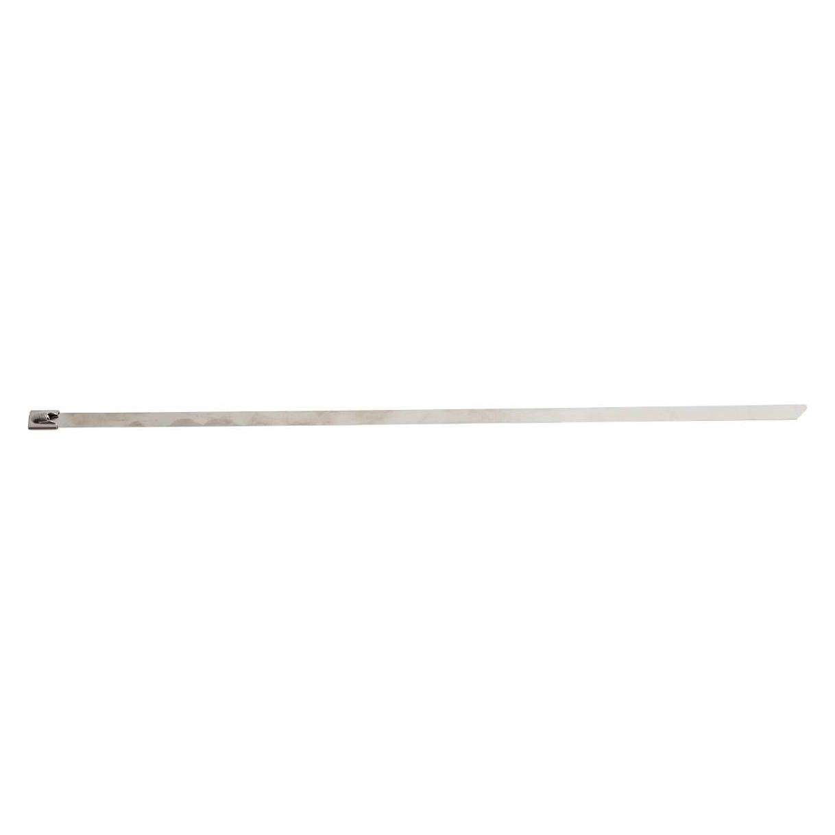 Brady Kabelbinder (370 mm, 100 Stk.) (SSTIE-370-7316-HD)