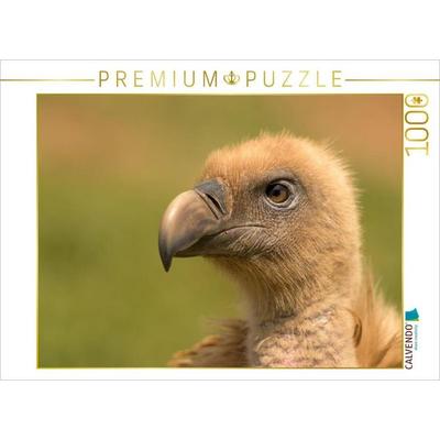 CALVENDO Puzzle Gänsegeier im Porträt | 1000 Teile Lege-Größe 64x48cm Foto-Puzzle für glückliche Stunden