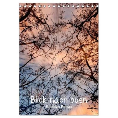 Blick nach oben (Tischkalender 2027 DIN A5 hoch), CALVENDO Monatskalender