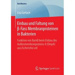 Einbau und Faltung von β-Fass Membranproteinen in Bakterien, Fachbücher von Lisa Gerlach