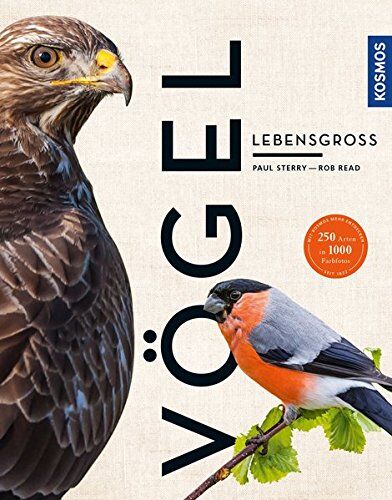 Paul Sterry - Vögel lebensgroß (Großformat) - Preis vom 13.10.2026 11:25:28 h