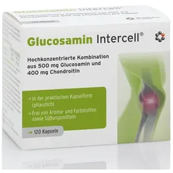 GLUCOSAMIN INTERCELL Kapseln 120 St