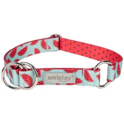 Amiplay BeHappy L Wassermelone halbgeschlossenes Halsband