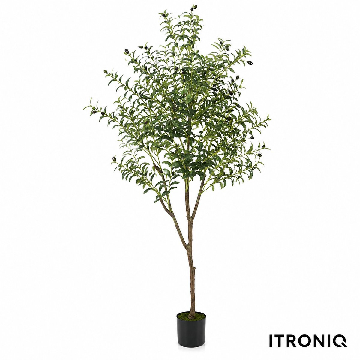 ITRONIQ Kunst Olijfboom met olijven, 180 cm, Groen