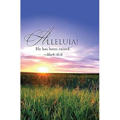 Alleluia! Easter Sunrise Bulletin 2013, Regular (Package of 50)