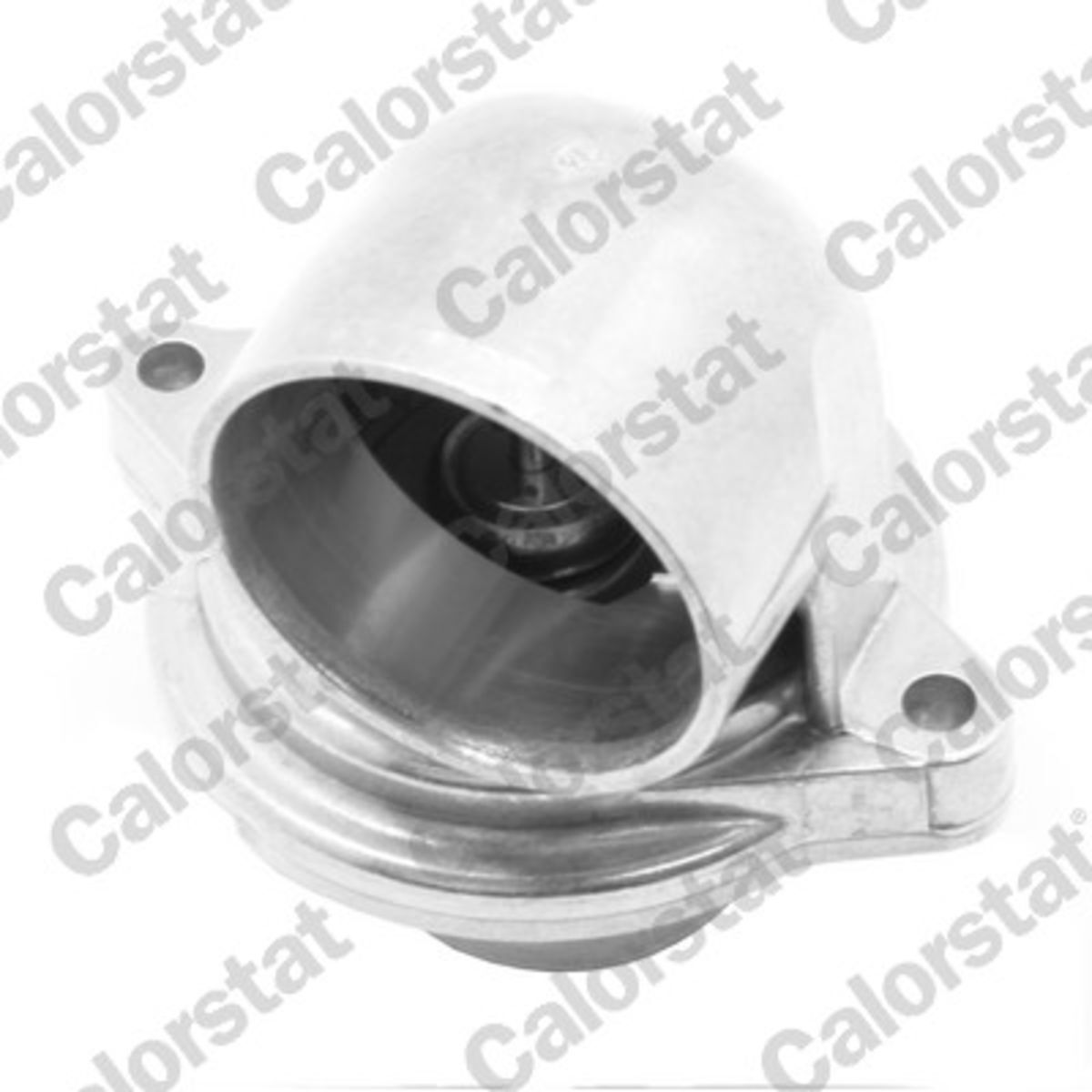 Thermostat, Kühlmittel CALORSTAT BY VERNET TH7324.80J