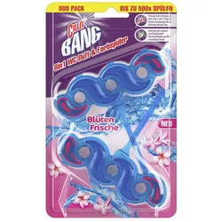 CILLIT BANG WC-Duftspüler BLUE WAVE 6 2,0 St.