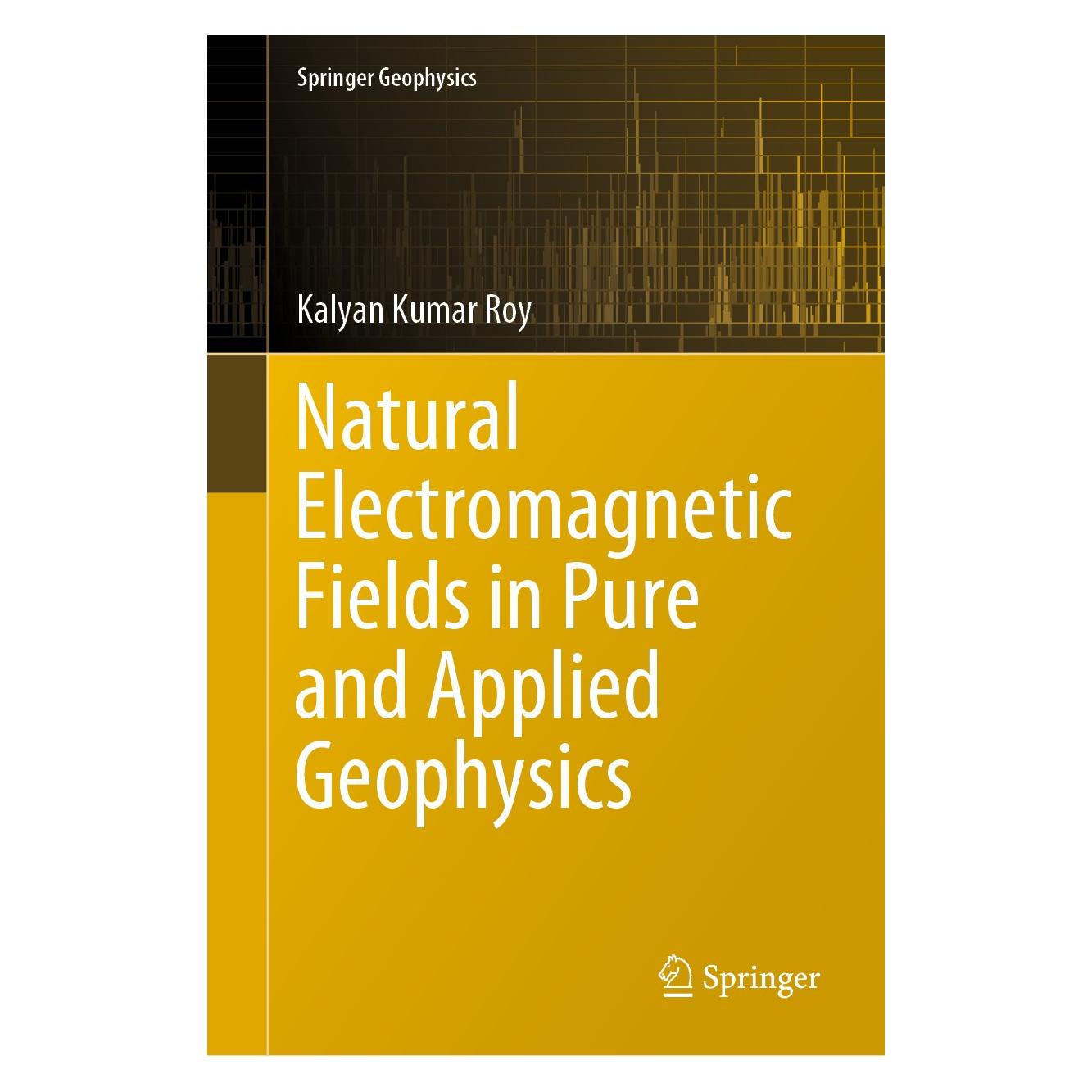 Springer Roy:Natural Electromagnetic Fields in P (Englisch, Hardcover, Kalyan Kumar Roy) (9783030380960)