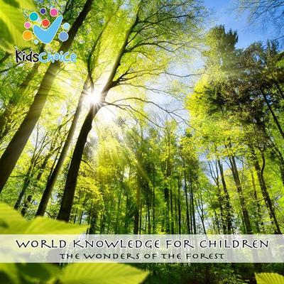 The wonders of the forest - KidsChoice, Audio, 9781998525607