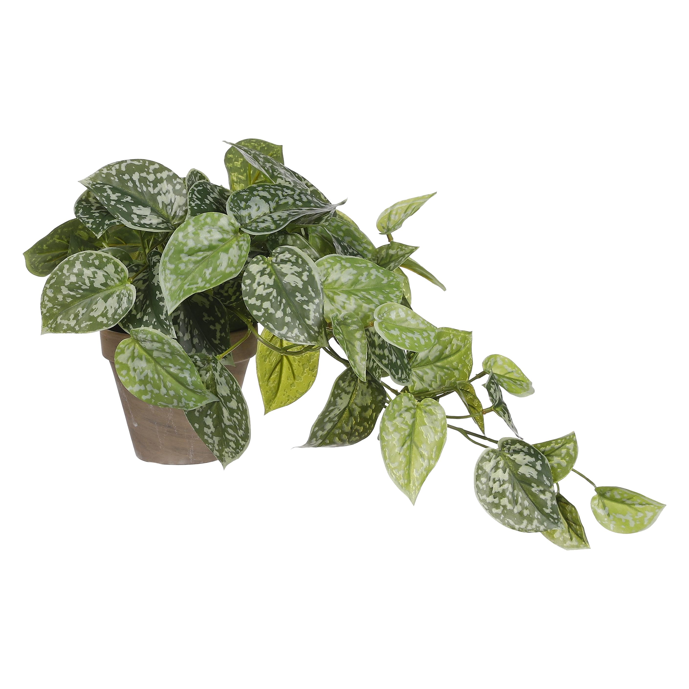 Mica Decorations Scindapsus Kunstpflanze im Blumentopf Stan - H44 x Ø17 cm - Grün (44 cm) (1116843)