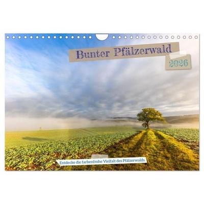 Bunter Pfälzerwald (Wandkalender 2026 DIN A4 quer), CALVENDO Monatskalender