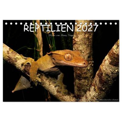 REPTILIEN (Tischkalender 2027 DIN A5 quer), CALVENDO Monatskalender