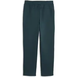 Puma, Herren, Sporthose, FRMF PUMATECH Sweatpants (M), Grün