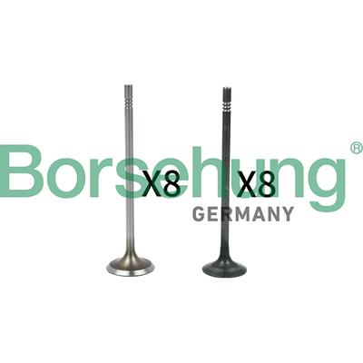 BORSEHUNG Ventilsatz, Einlass-/Auslassventil b18631 für VAG