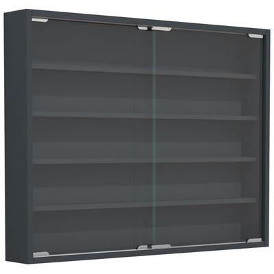 Hängevitrine Wandvitrine Sammel Deko Agisa L