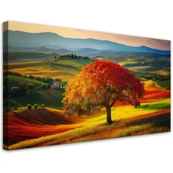 WANDBILD toskana landschaft baum natur