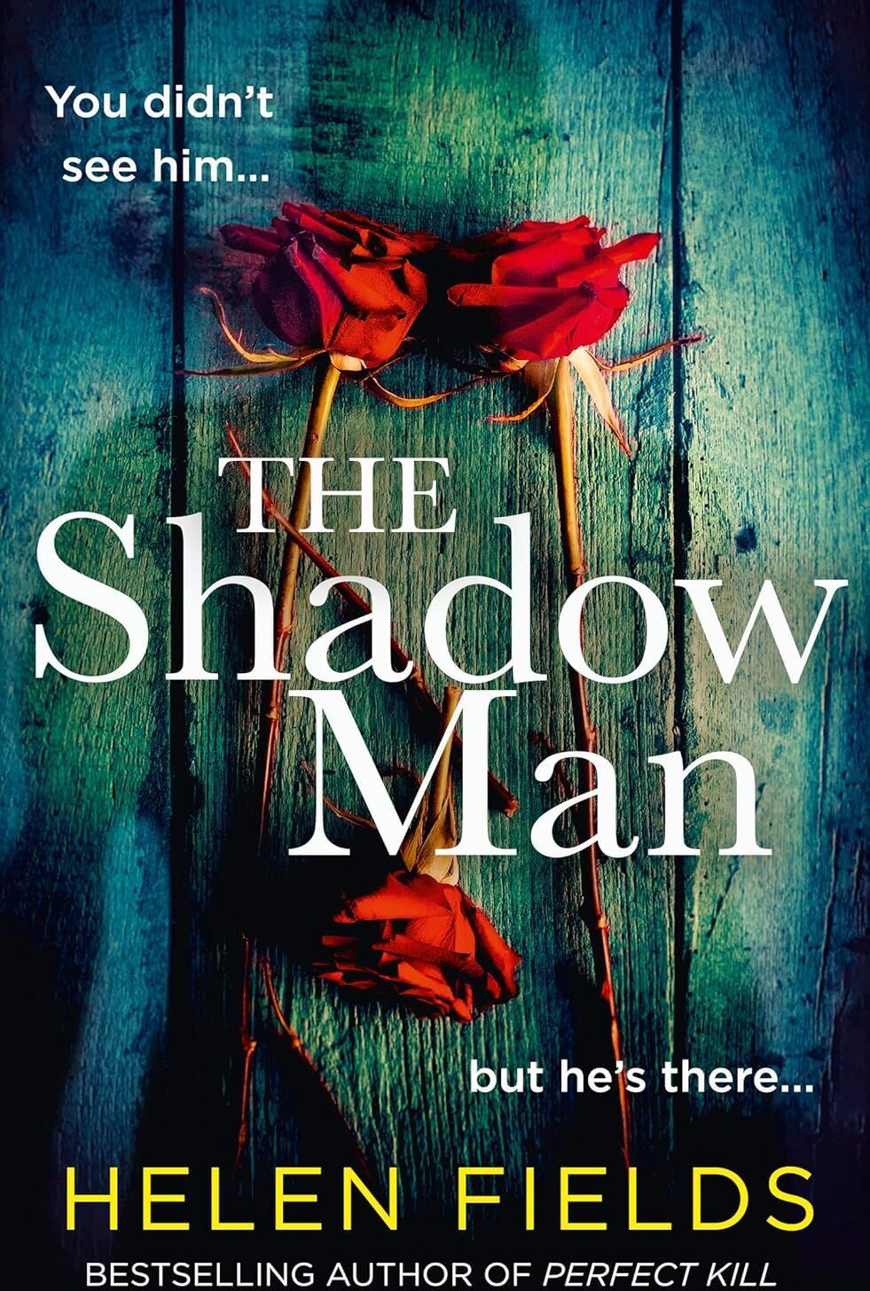 Avon Connie Woolwine Series 2 Books Collection Set by Helen Fields - The Shadow Man & The Institution - Paperback Crime Thrillers