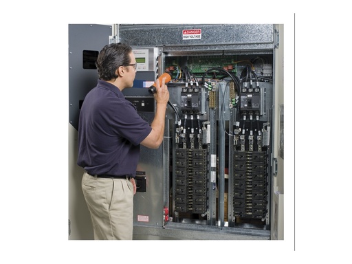 APC Preventive Maintenance Visit - Technischer Support - Präventive Wartung (für USV- und SV-Geräte) (WSAPMV-UG-01)