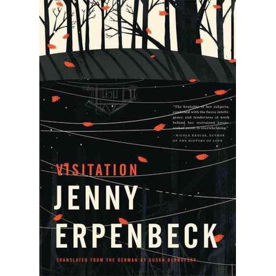 Visitation, Taschenbuch von Jenny Erpenbeck, Norton, 978-0-8112-1835-1
