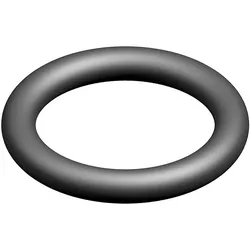 O-RING 2.62X18.72 (10x) - 8718601962