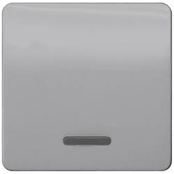 Siemens Schalterprogramm 1fach Abdeckung Wippe Delta Silber 5TG7920 1 St.