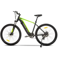 Argento, E-Bike