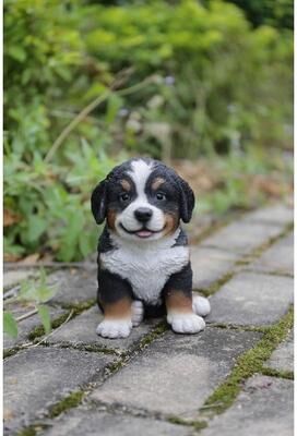 Hi-Line Gift Ltd. Bernese Mountain Dog Puppy