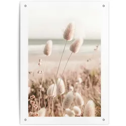 Outdoor Poster GRASSES (BH 56x78 cm) - bunt - BH 56x78 cm