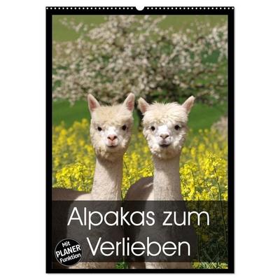 Alpakas zum Verlieben (Wandkalender 2026 DIN A2 hoch), CALVENDO Monatskalender