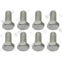 Schraube, (x8) Vaillant-Nr. 0020214431