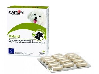 Camon Hybrid 3Cpr