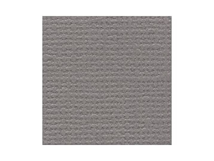 Bazzill Basics Paper scrapbooking-vellen, bruin