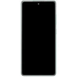 Samsung LCD-Display S20 FE 4G (Display, Samsung Galaxy S20 FE), Mobilgerät Ersatzteile, Grün