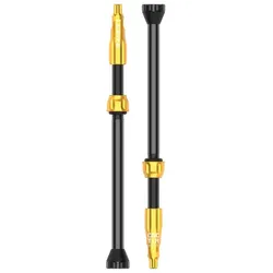 LEZYNE Tubeless Ventil CNC Pro TLR Paar | gold 80 mm