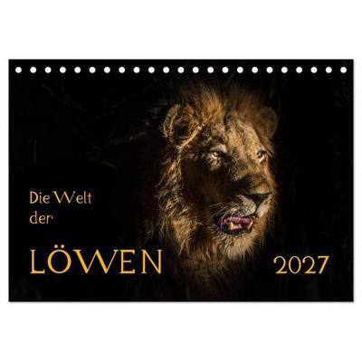 Die Welt der Löwen (Tischkalender 2027 DIN A5 quer), CALVENDO Monatskalender