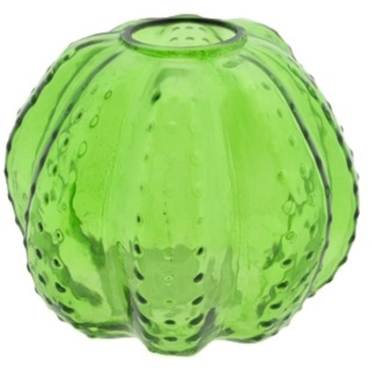 Vaas Cactus Convex Logan - Groen - Hoogte: 11 cm