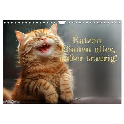 Katzen können alles, außer traurig. (Wandkalender 2027 DIN A4 quer), CALVENDO Monatskalender