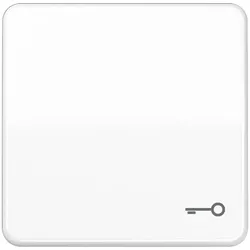 Jung Wippe Symbol TÜR aws CD 590 BFT WW