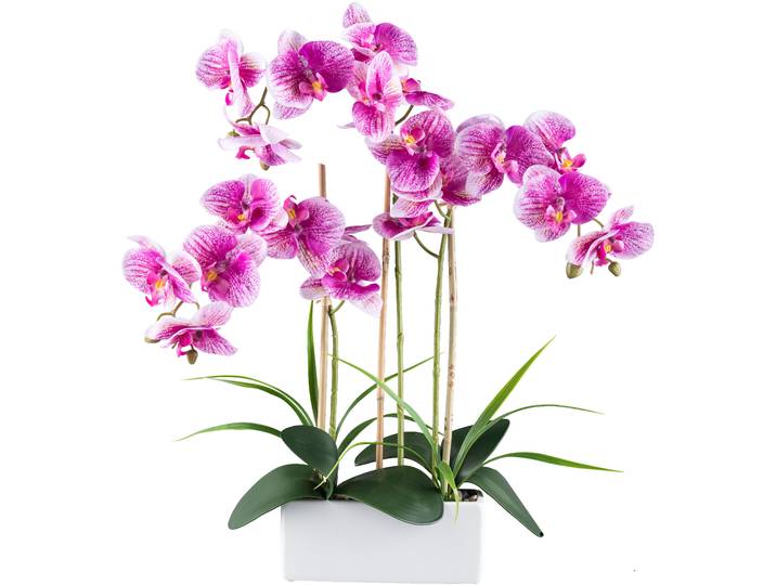 Kunstorchidee CREATIV GREEN Orchidee Phalaenopsis , lila, H:58cm, Kunststoff, Kunstpflanzen, Kunstorchidee, mit Graszweigen arrangiert