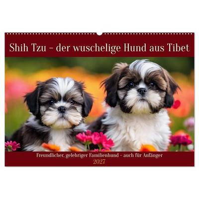 Shih Tzu - der wuschelige Hund aus Tibet (Wandkalender 2027 DIN A2 quer), CALVENDO Monatskalender
