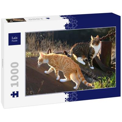 Lais Puzzle Katzen 1000 Teile