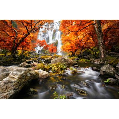 Fototapete PAPERMOON "WASSERFALL-HERBST BÄUME WALD NATUR LANDSCHAFT DSCHUNGEL", bunt, B:4,5m L:2,8m, Vlies, Tapeten